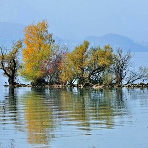 Thunersee im Hintergrund
im Vordergrund und nach rechts gehend
Schiffskanal nach Interlaken West