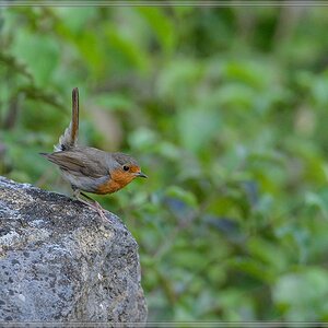 20140710 9242 [NIKON D4] 600 mm,1 400 Sek. bei ƒ   6,3