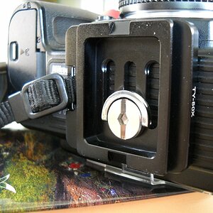 Schnellwechselplatte (arca-swiss-kompatibel) mit Anschluss für Handschlaufe