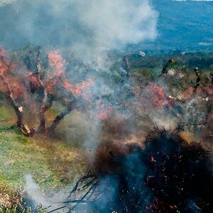 fuoco 11#