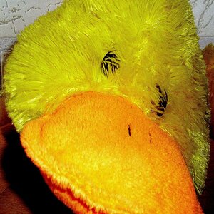 Kuscheltiere 01