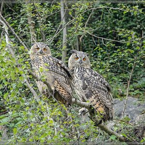 20140803 1791 [NIKON D4] 600 mm,1 320 Sek. bei ƒ   8,0