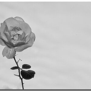 KR DSC 0317 SW