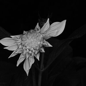 KR DSC 0318 SW