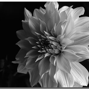 KR DSC 0357 SW