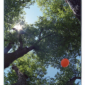 FM2 mit Ball auf Reisen - Bild 29