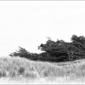 DSC 10343   Darßer Ort B&W