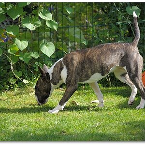 MNE 6527, 20141002
D700 AF-S 24-120/4,0