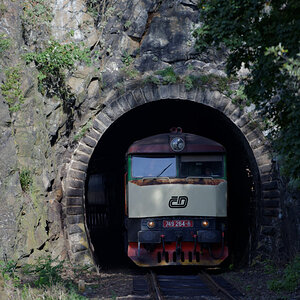 610 4521 Bardotka 749 264 8