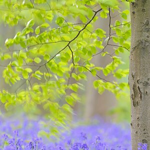 Akt.blau (10)