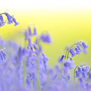 Akt.blau (9)