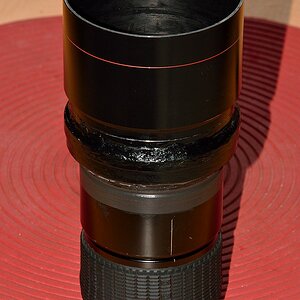 DSC 8568