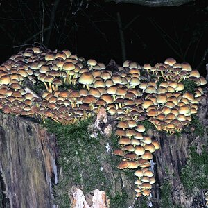 DSCN28klein67[1]