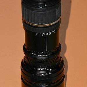 DSC 8548