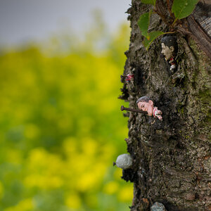 Baum genagelt