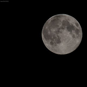10. August 2014 DSC 8054 3