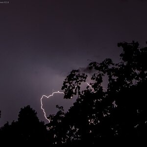 10. August 2014 DSC 8348 2