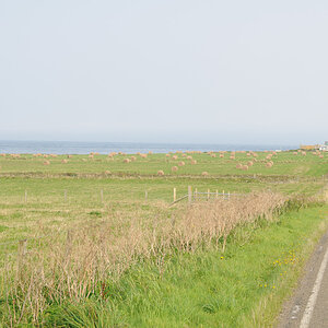 NK3 9876