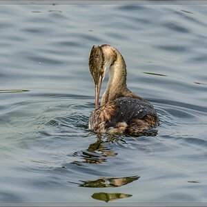 20140928 1811 [NIKON D7100] 390 mm,1 1250 Sek. bei ƒ   8,0