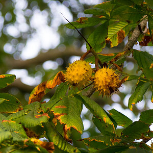 PA050072 2