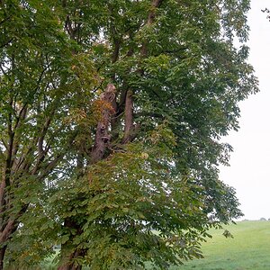 PA050041 2