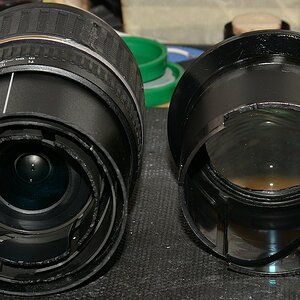 DSC 8559