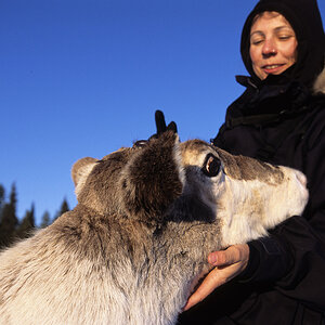 Web900Winterscan2009Joe195