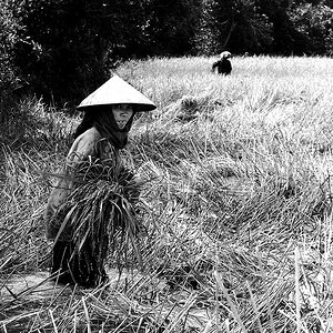 P1040767 sw web