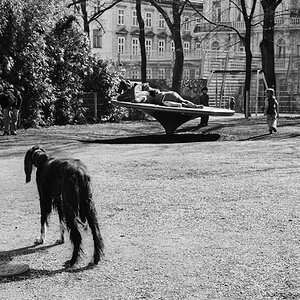 Wien 0115 900