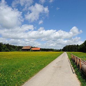 D03 8784
