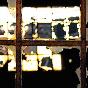 fenster2
