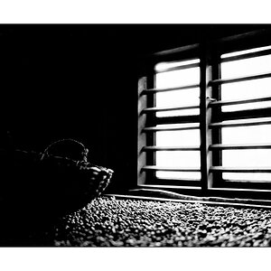 Trocknende Kaffeebohnen am Fenster