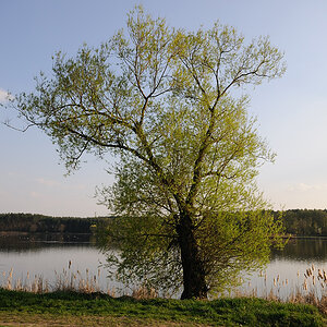 Kastenweiher