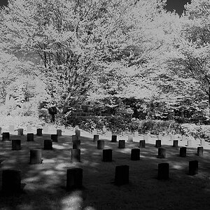 infrarot DSC 8838