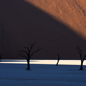 DSC3599 ps