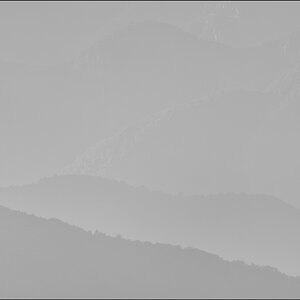 ViraPZ1 2415