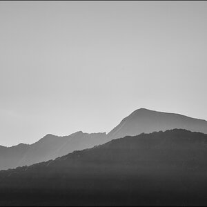 ViraPZ1 2420