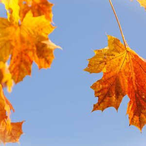 Herbst,,