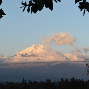 s1090 Cotopaxi 8394
