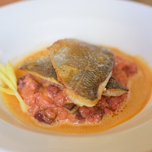 dorade risotto