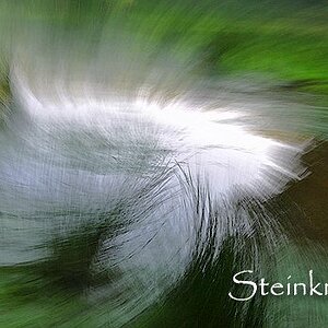 comp Wiesengrund 2