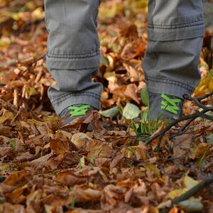 Herbstimpressionen