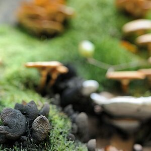 DSC9743