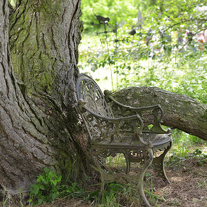 Baum mit Stuhl