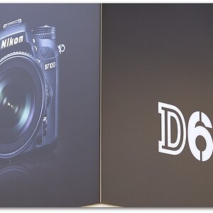 MNE 5780, 20140920
Photokina Köln
D700 Ai-S 135mm/2,8