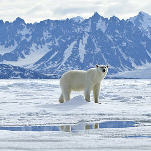 Spitzbergen, Foto: Sandra Petrowitz