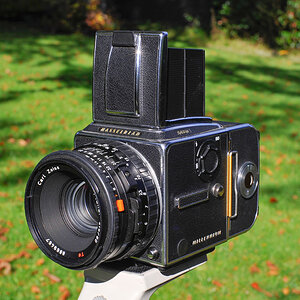 Hasselblad 503 CW - Meine Queen