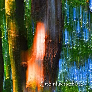 comp Feuerholz