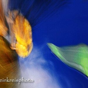 comp Herbstlicht 9