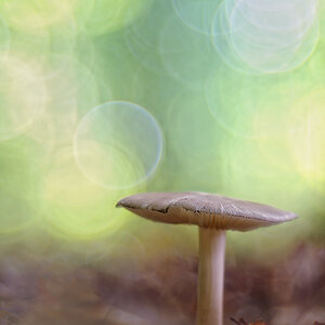 ~ circles ~